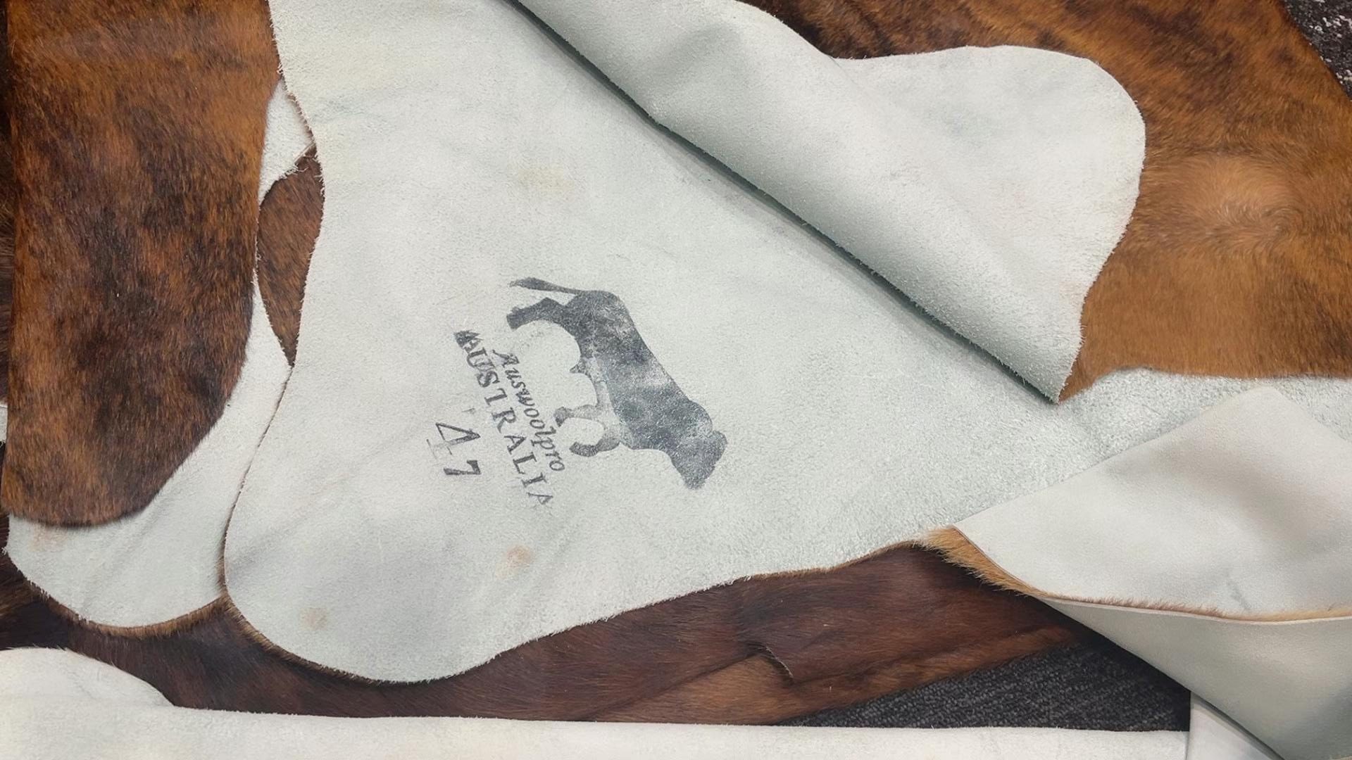 WeChat Image_20230401214318